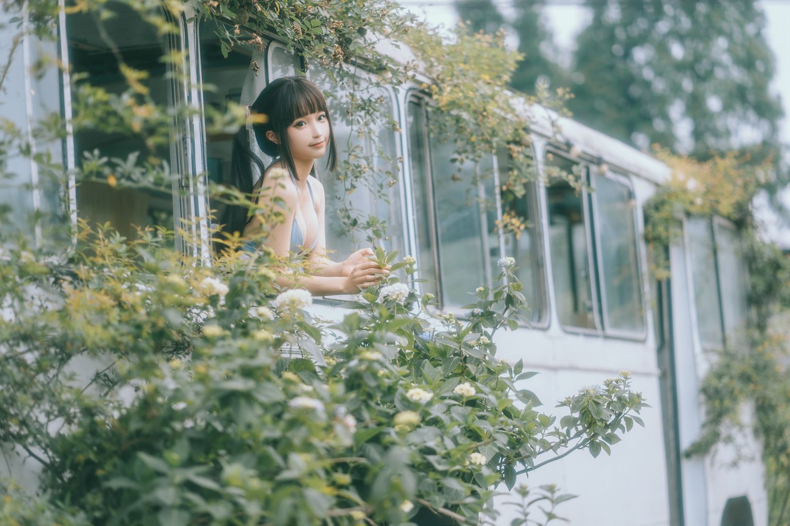 蠢沫沫