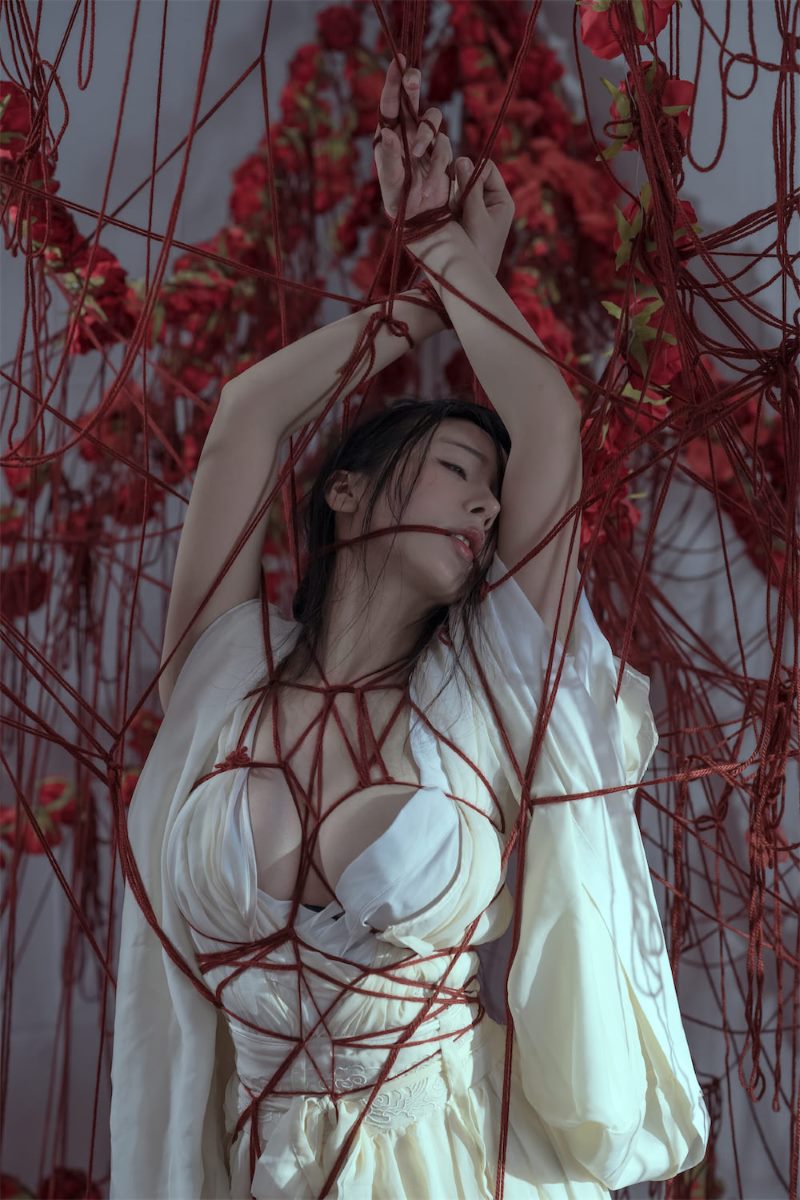 云溪溪 囚鸟
